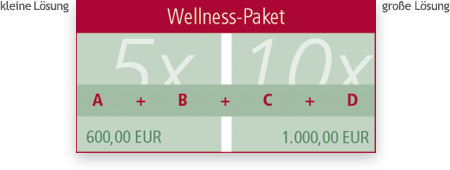 Wellness-Paket